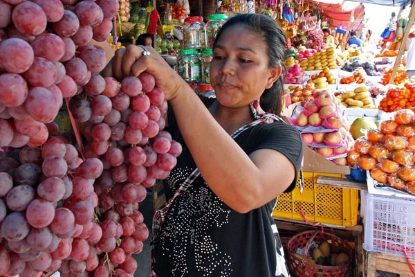 image of fruit price: key fruits in high demand