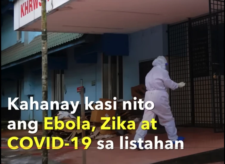 image of nipah virus symptoms: hindi lang immunocompromised ang nanganganib