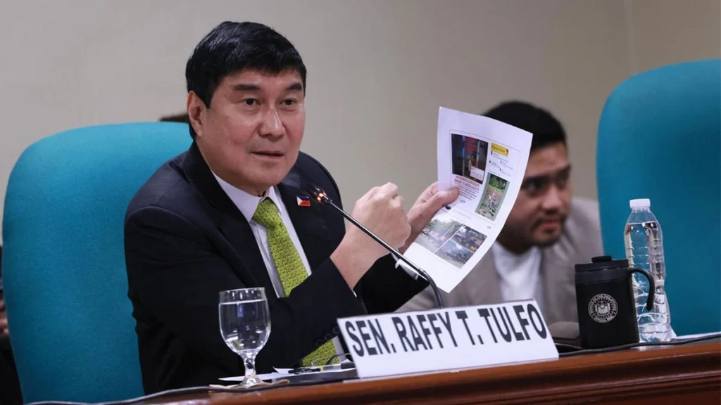 image of secretary christina frasco mga materyales na ipinakita sa pagdinig