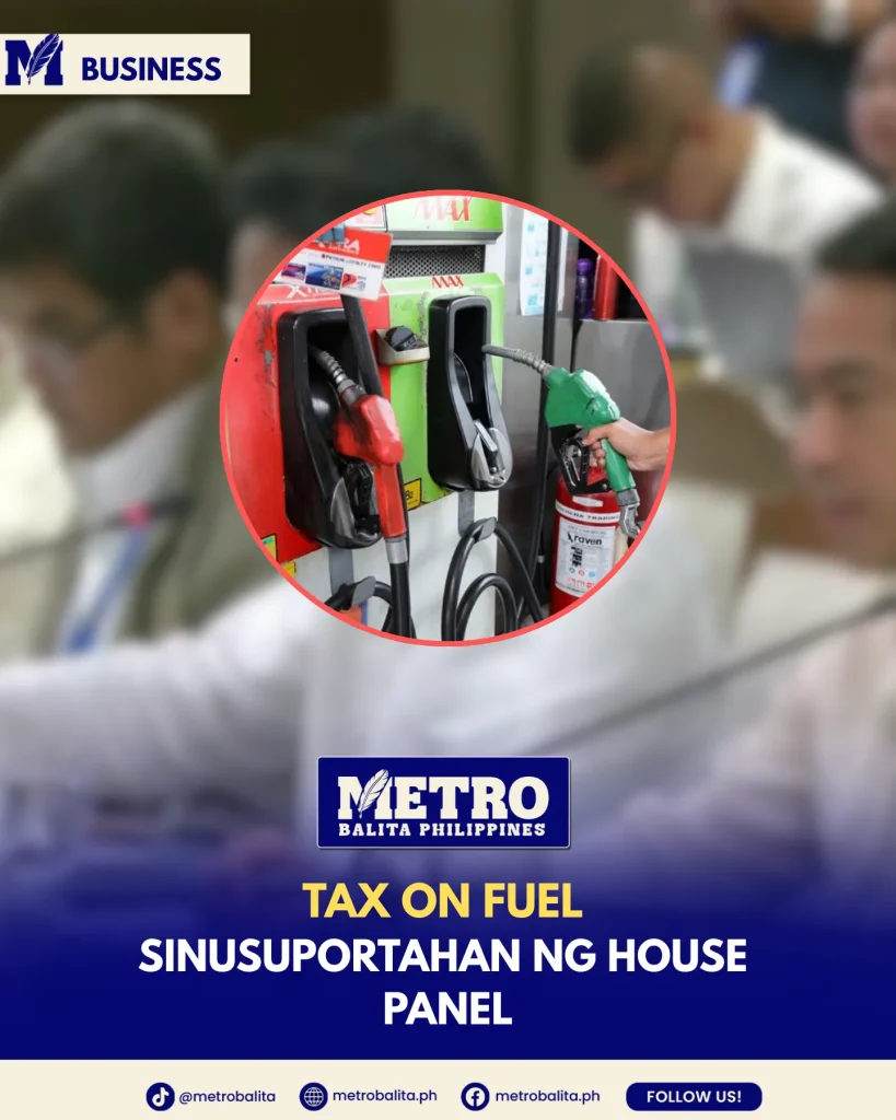 image of house panel supports proposal to adjust tax on fuel