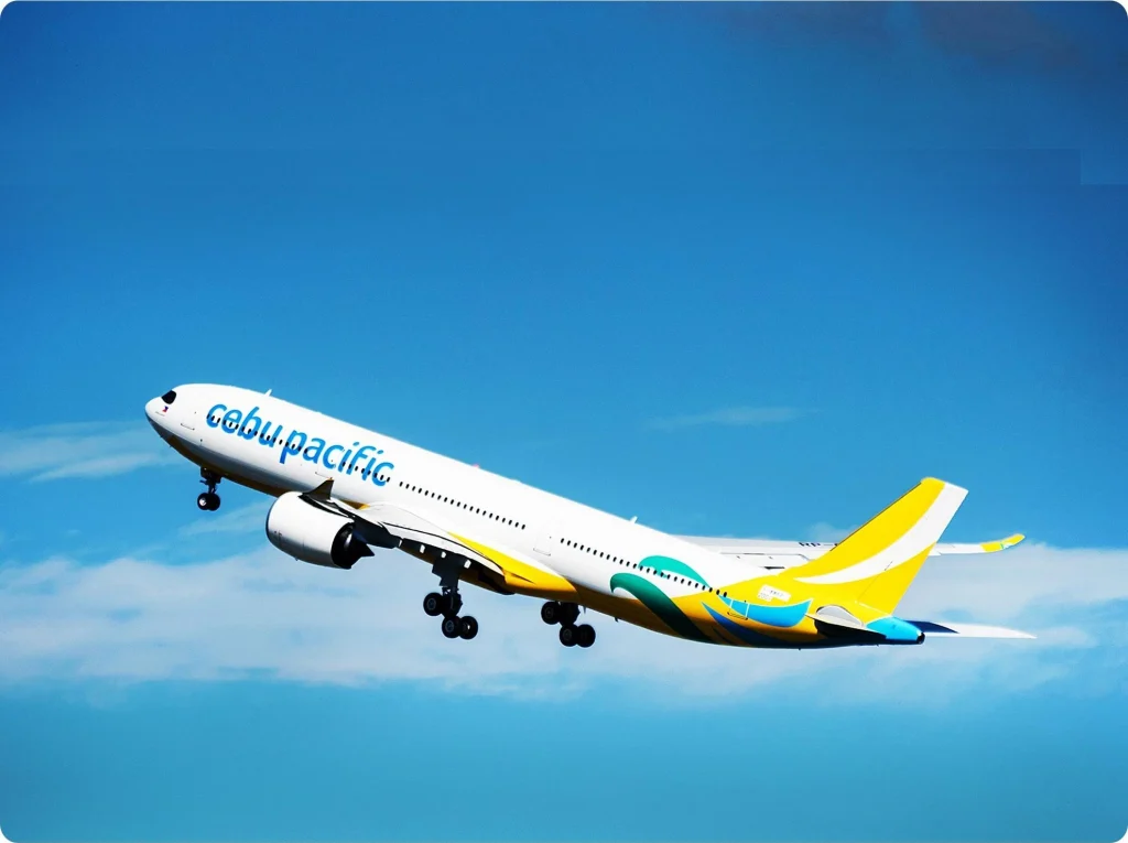 image of popular domestic routes covered