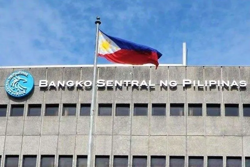 image of what is bsp loan payment relief