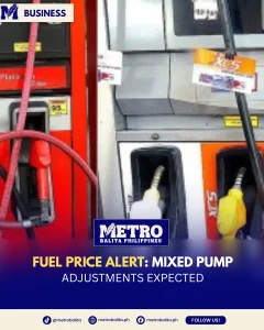 image of fuel price update: diesel and kerosene seen to roll back