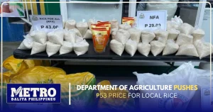 image of department of agriculture pushes ₱53 price for local rice