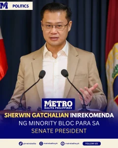 image of sherwin gatchalian, pinupush ng senate minority bilang bagong lider ng senado