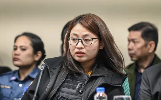 alice guo tax evasion complaint