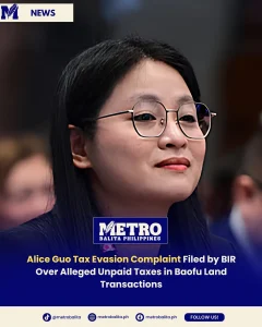 alice guo tax evasion complaint
