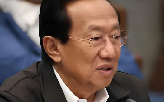 Former DPWH chief Bonoan