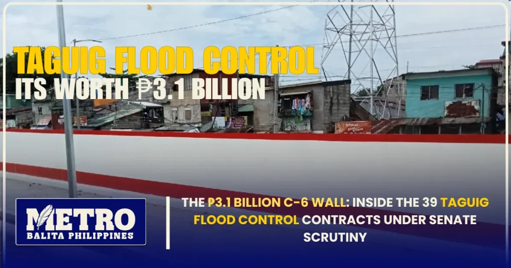 The ₱3.1 Billion C-6 Wall: Inside the 39 Taguig Flood Control Contracts Under Senate Scrutiny